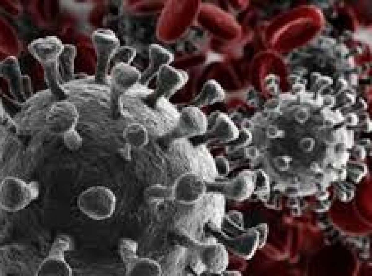 Acre registra aumento de contaminados por coronavírus: 176 casos confirmados, 61 pessoas curadas e 8 mortos pela doença