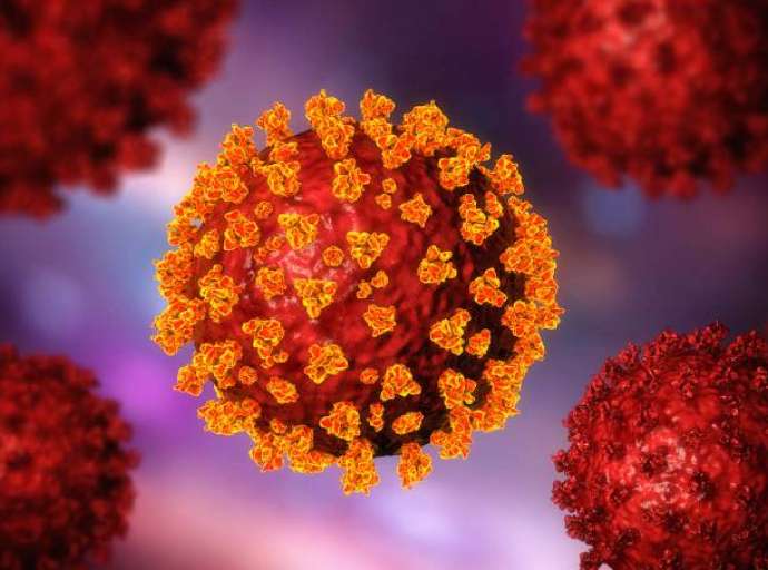 Cientistas encontram alternativa que pode prevenir infecções de covid-19