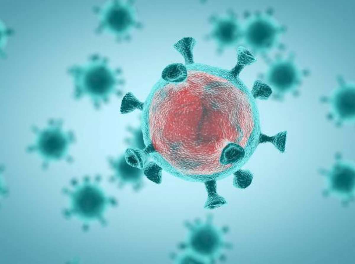 Estudo aponta imunidade de seis meses ao coronavírus