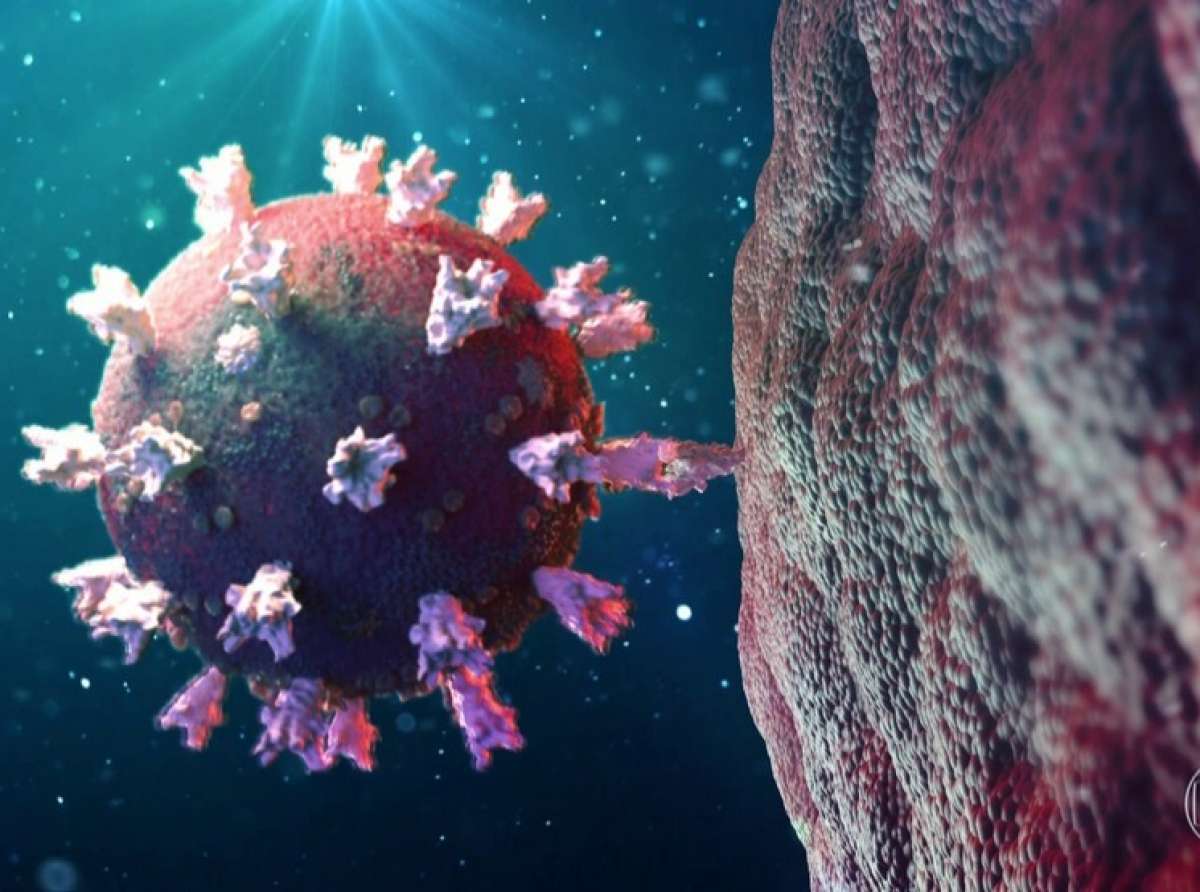 Médico de Harvard: “Cientistas estão angustiados com Covid no Brasil”