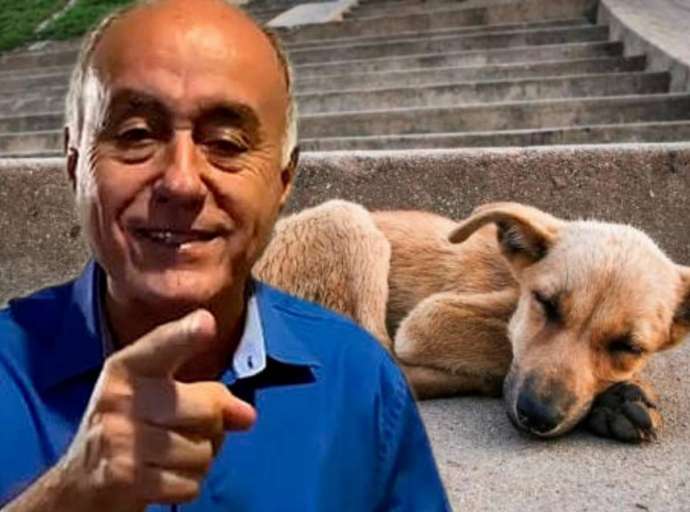 "Entre o macaco e a criança, eu vou salvar a criança, entre um cachorro e uma criança, eu vou salvar a criança", diz Bocalom ao falar sobre a causa animal