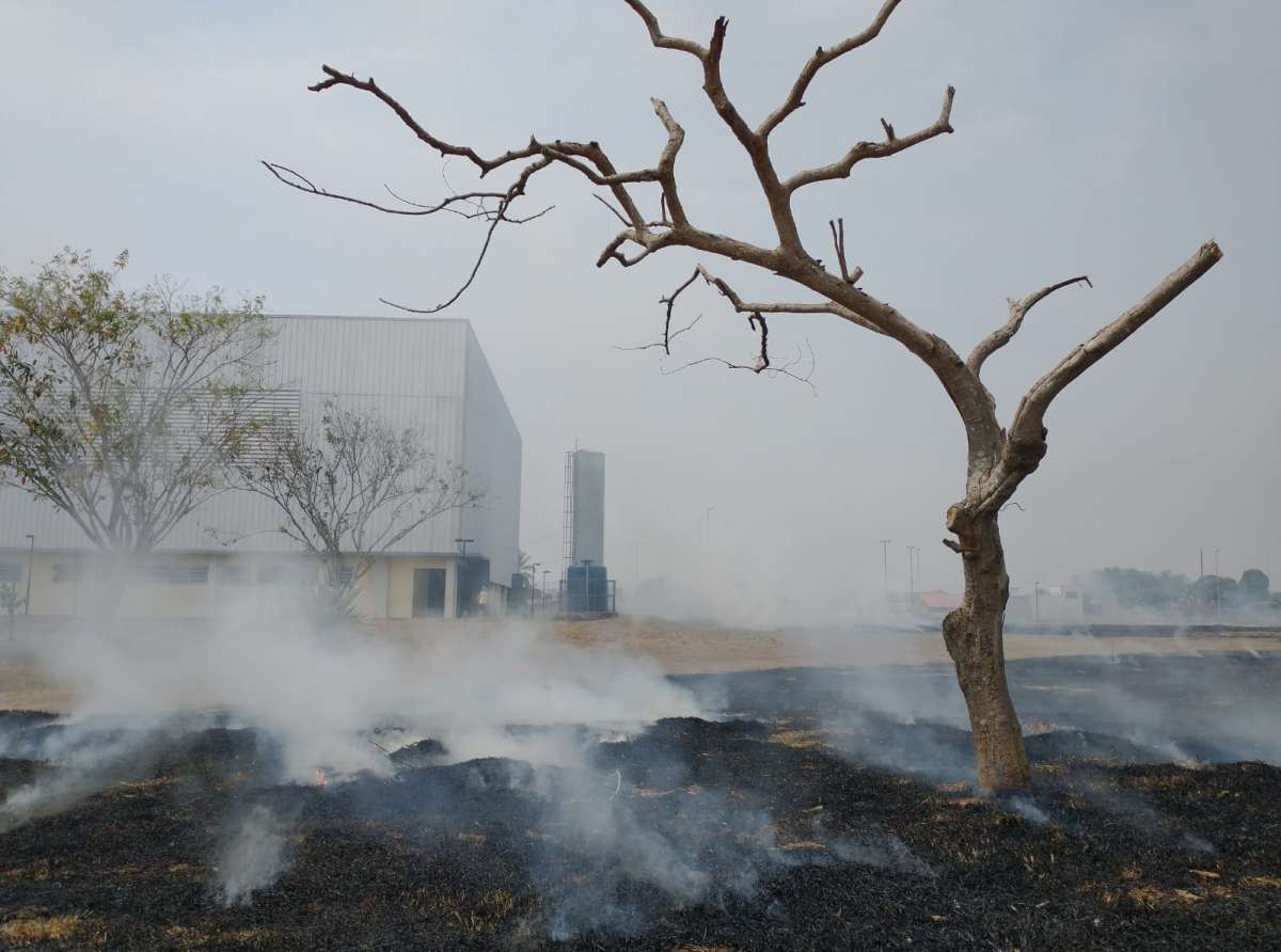 Focos de incêndio devastam antigo Ceja da Baixada da Sobral; fumaça invade avenida principal