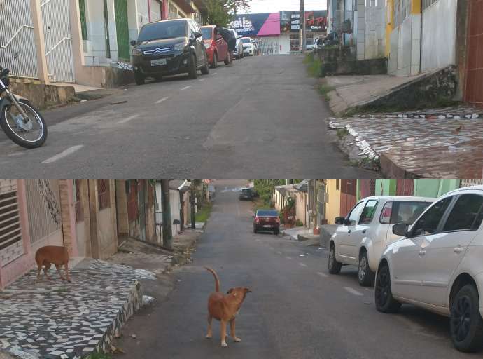 Moradores de rua tradicional na Estação pedem que Prefeitura coloque lombadas no local: "irresponsáveis andam em alta velocidade aqui" 