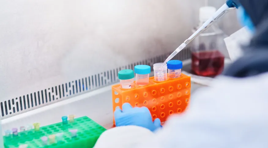 Cientistas descobrem molécula que destrói células de câncer de mama agressivo