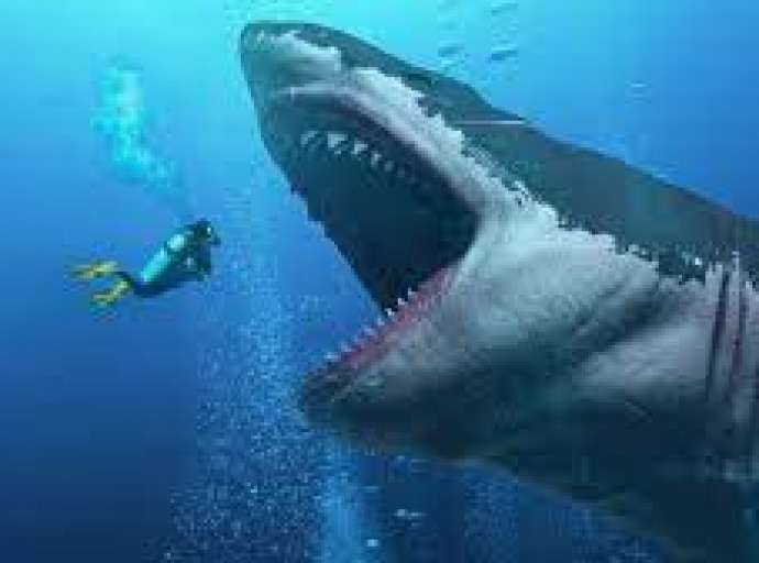 Tubarão gigante extinto podia comer uma orca com 5 mordidas, dizem cientistas