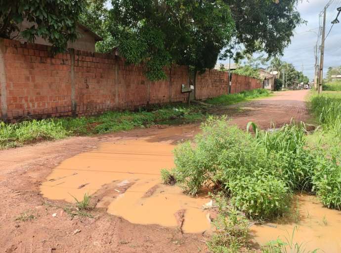 Moradores da Cadeia Velha reclamam de rua esburacada e cheia de mato: "impossível o ônibus elétrico do Prefeito passar aqui"
