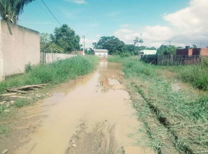 Rua de matagal no Belo Jardim choca e internauta reclama: "moradores ainda tem que limpar, se é que posso chamar de rua né Bocalom?"
