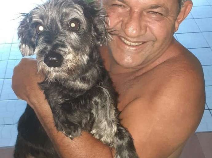 Internauta cria vaquinha pedindo ajuda para custear tratamento da cachorrinha Anitta, que sofre de grave doença e precisa realizar cirurgia urgente 