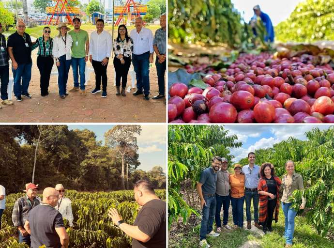Produtores de café do Vale do Juruá conhecem experiências exitosas em Rondônia